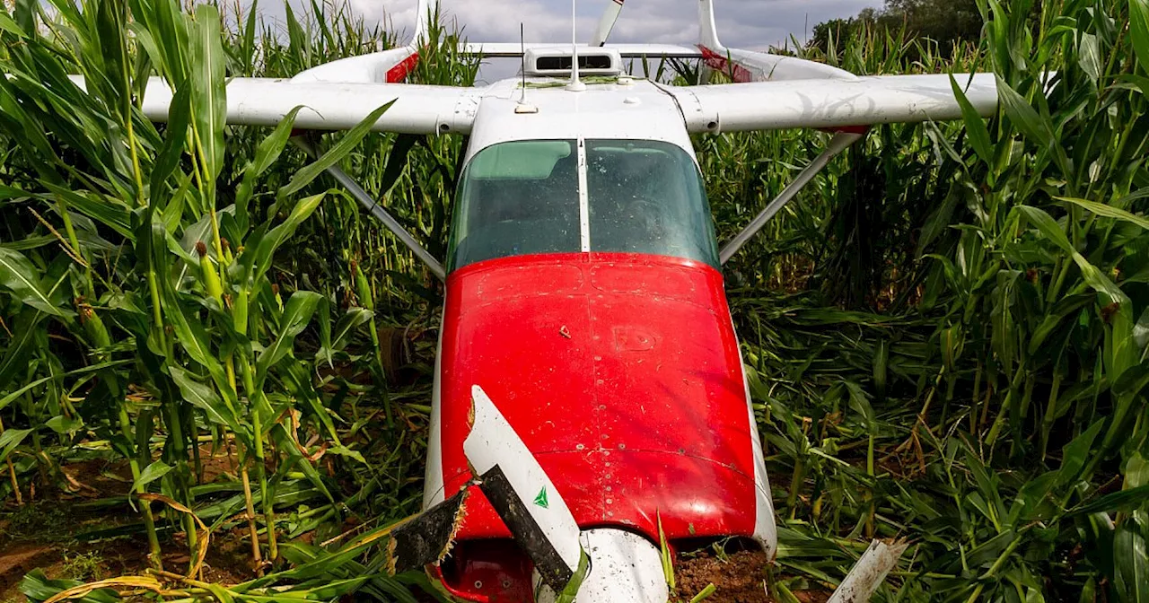 Probleme beim Abheben: Flugzeug kommt im Minden-Lübbecker Maisfeld zum Stehen