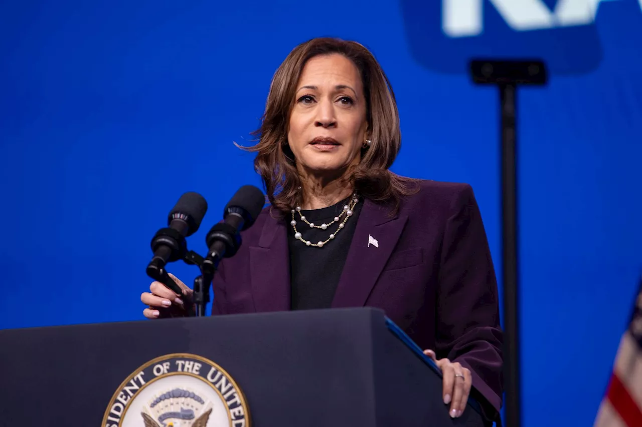 Kamala Harris' $1.7T spending plan exposes her pixie-dust fiscal policy