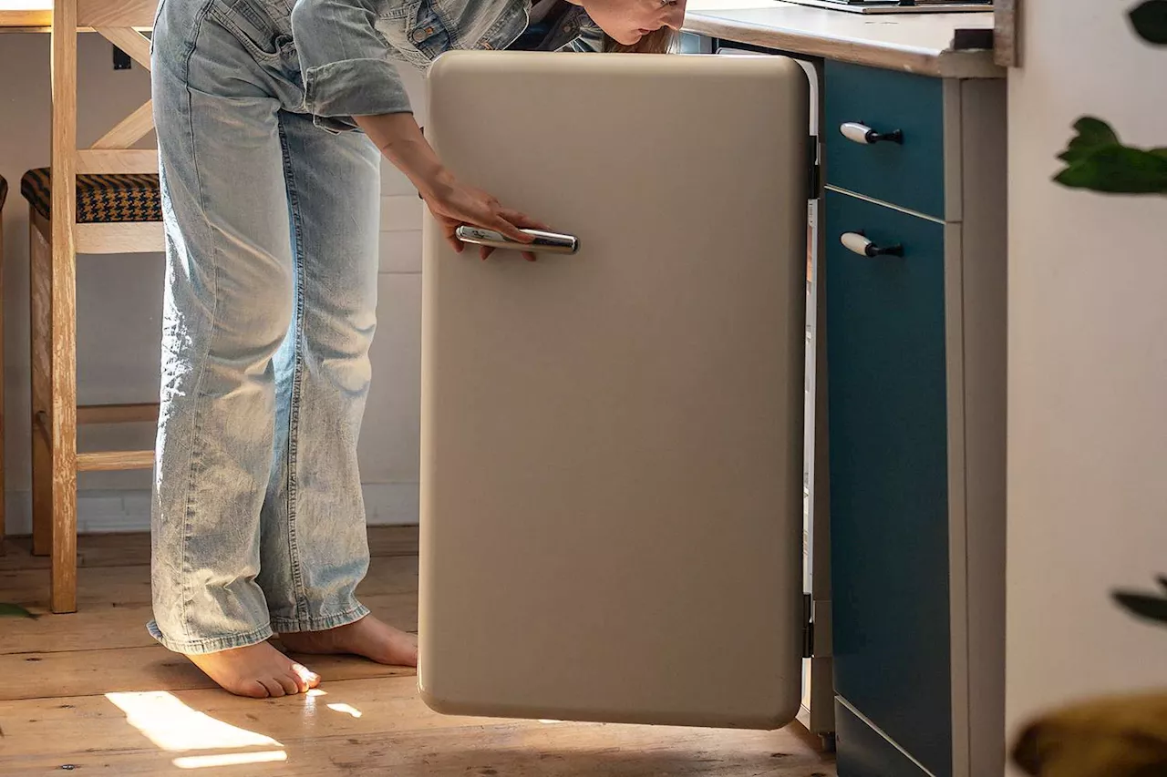 Redditor Says She Banned Roommate from Using Dorm Fridge After Finding It Filled with 'Rotten' Food