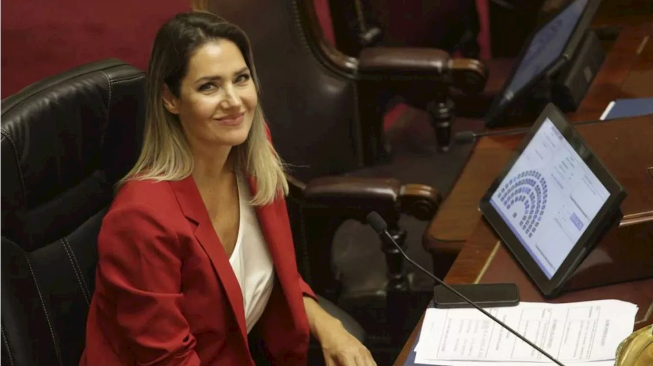 Los senadores acordaron rechazar el aumento que llevaba su dieta a $9 millones