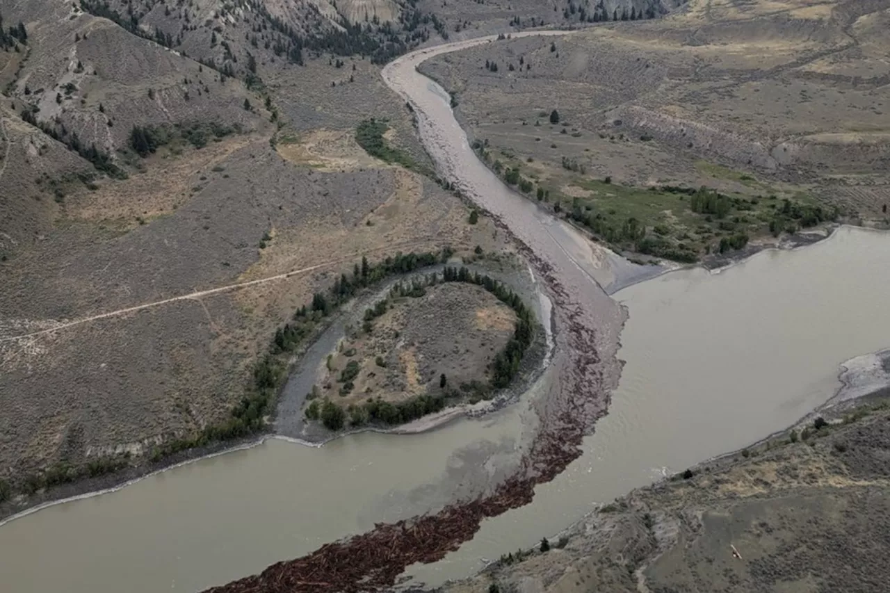 B.C. landslide 'dramatically' impacts salmon spawn but conditions improve: task force