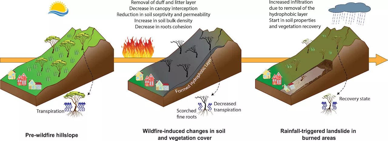 Researchers develop post-wildfire landslide susceptibility model