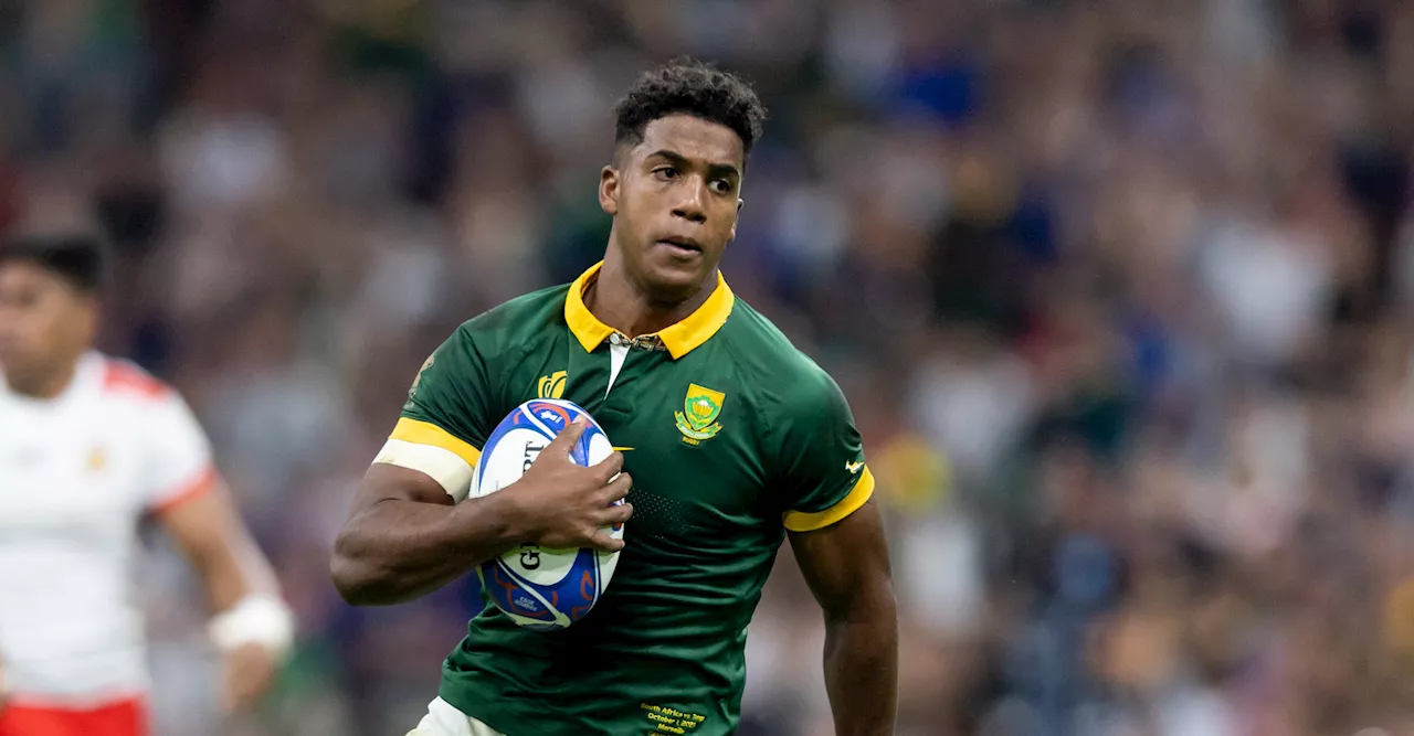 Boks recall fit-again World Cup-winning trio