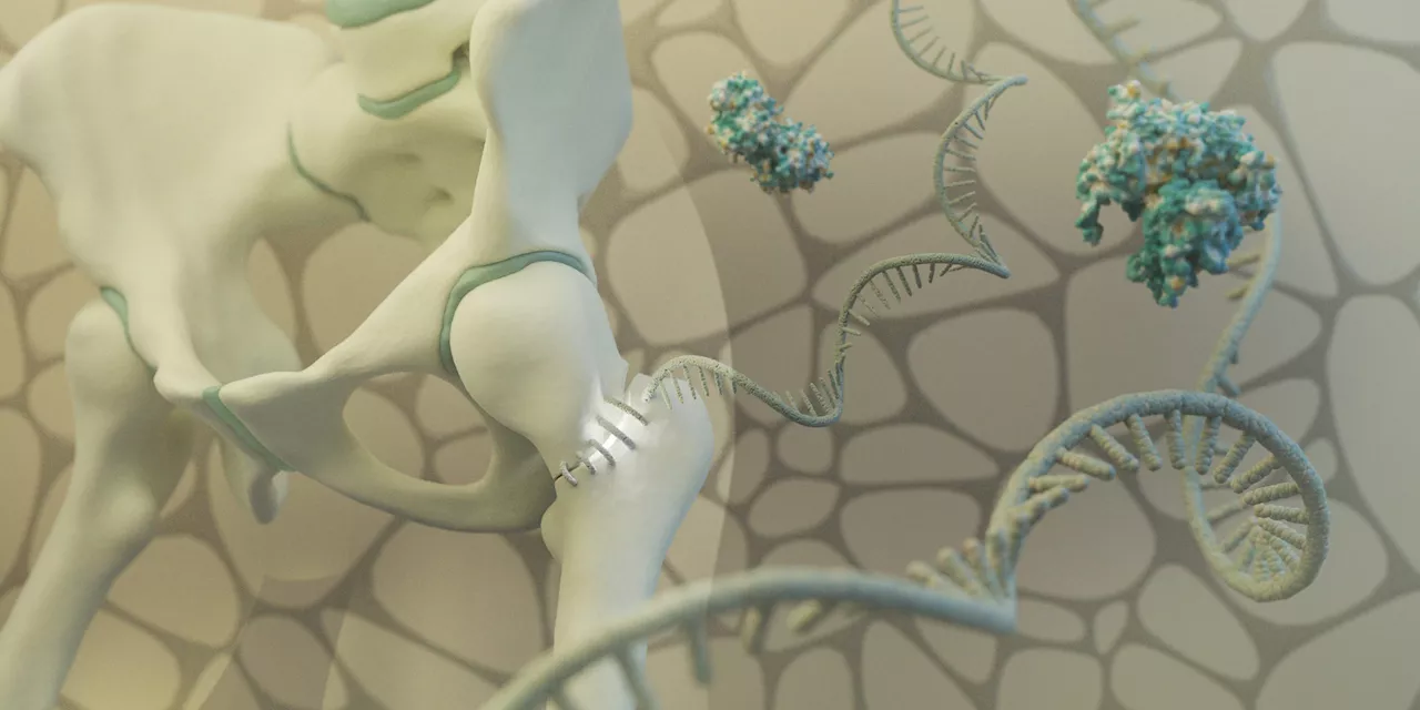 Ancient Viral DNA: The Unexpected Key to Bone Healing and Beyond