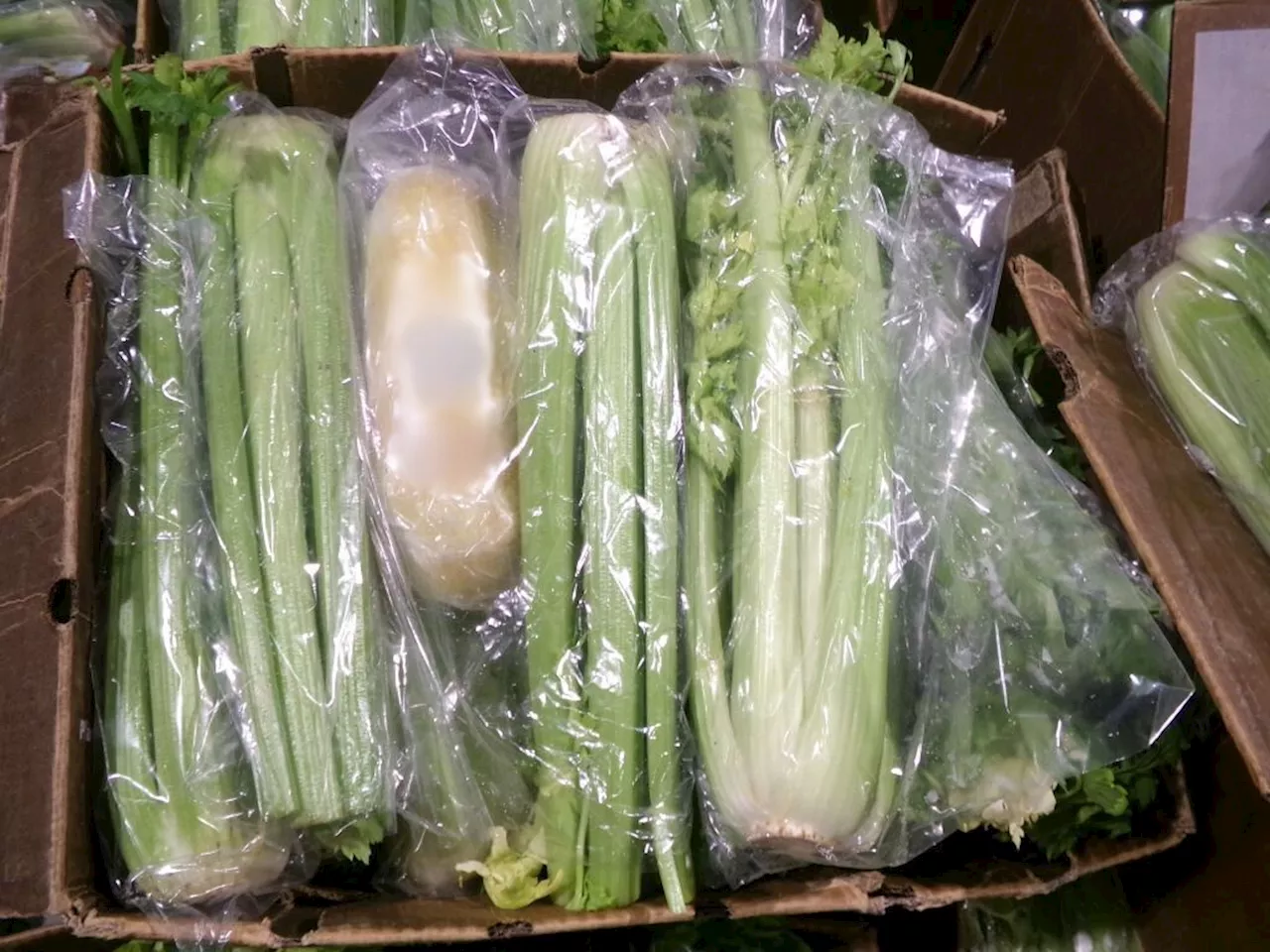 More than 500 packages of meth found hidden in celery shipment at border