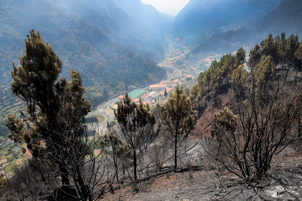 Madeira: locais de difícil acesso dificultam operações, solução é 'esperar que arda'