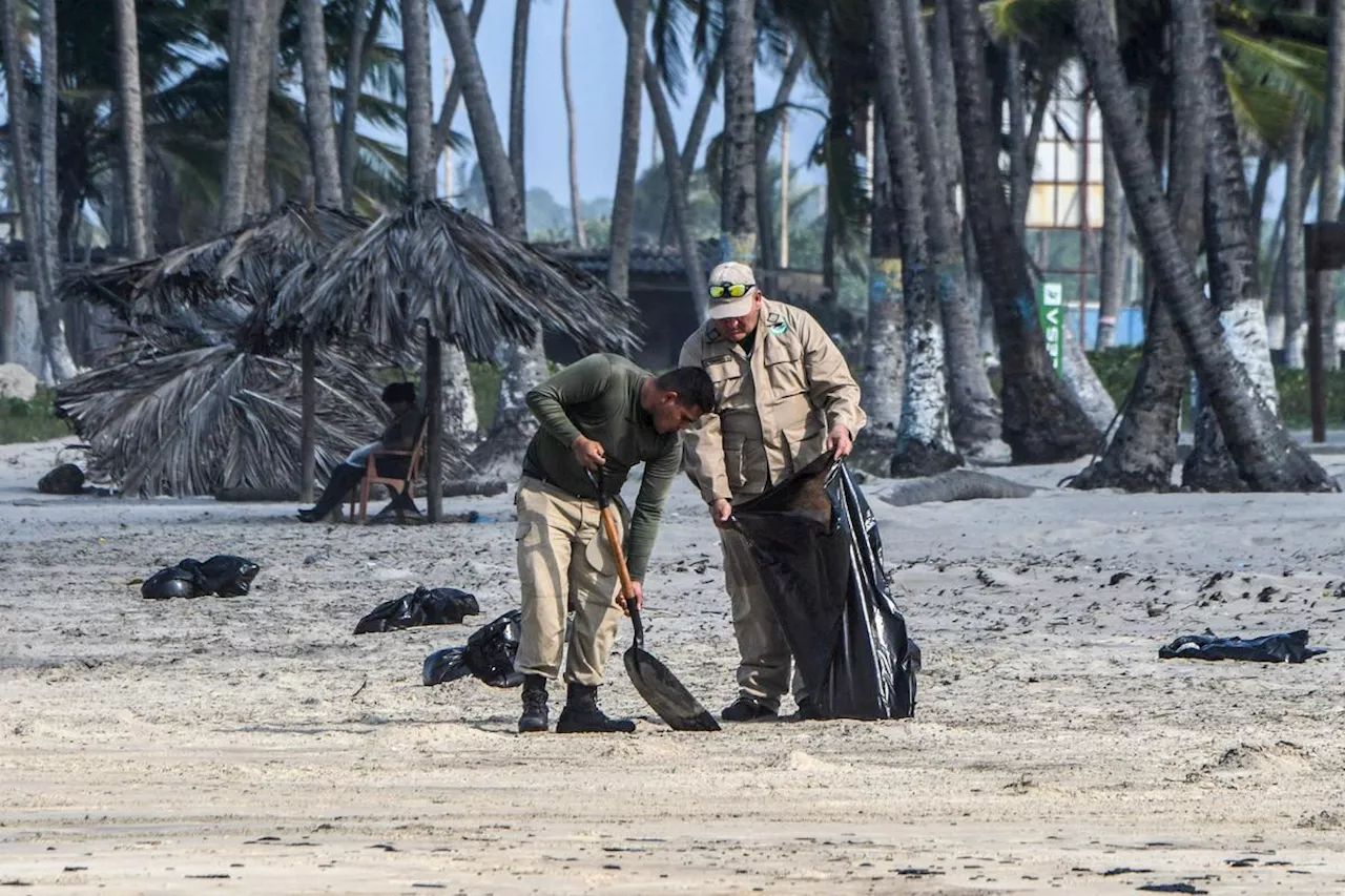 Une « marée noire » se déverse sur les côtes touristiques du nord-ouest du Venezuela