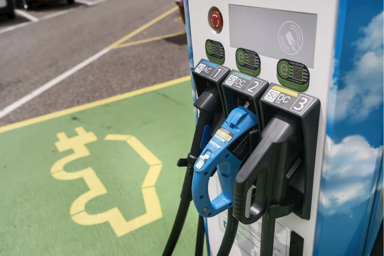 E-Autos kommen in der Schweiz nicht auf Touren