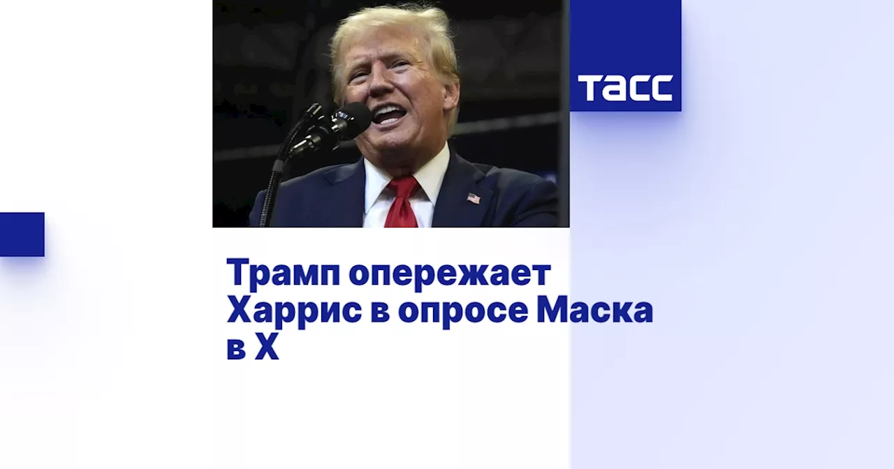 Трамп опережает Харрис в опросе Маска в X