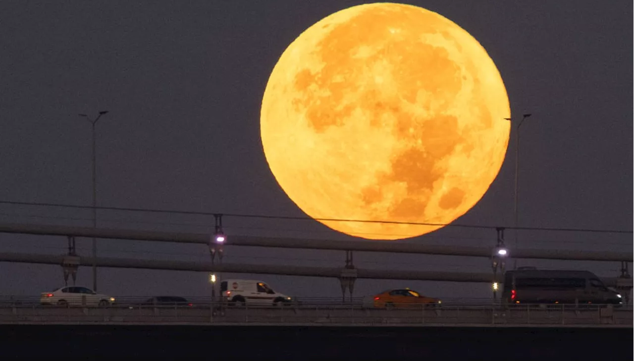 Superlua Azul: entenda a diferença entre a Lua Azul mensal e sazonal