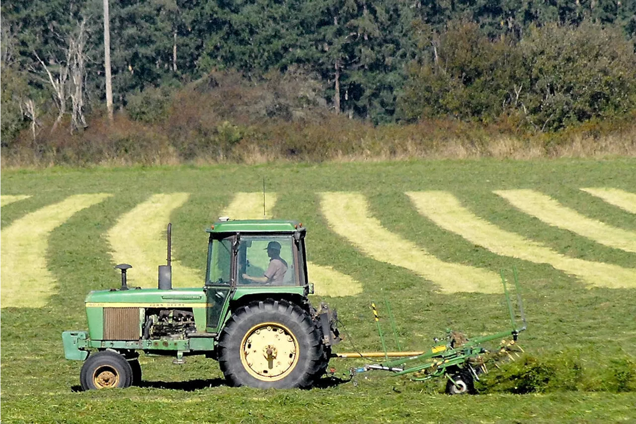 Extreme heat plagues B.C. migrant farm workers, UBC study shows