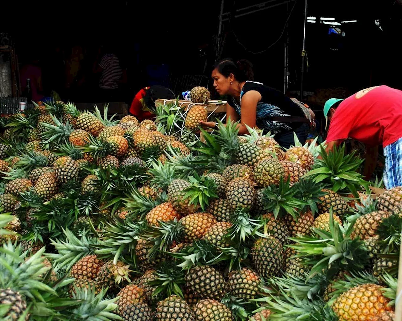 PH pineapple exports expanded 2.7% in 2023