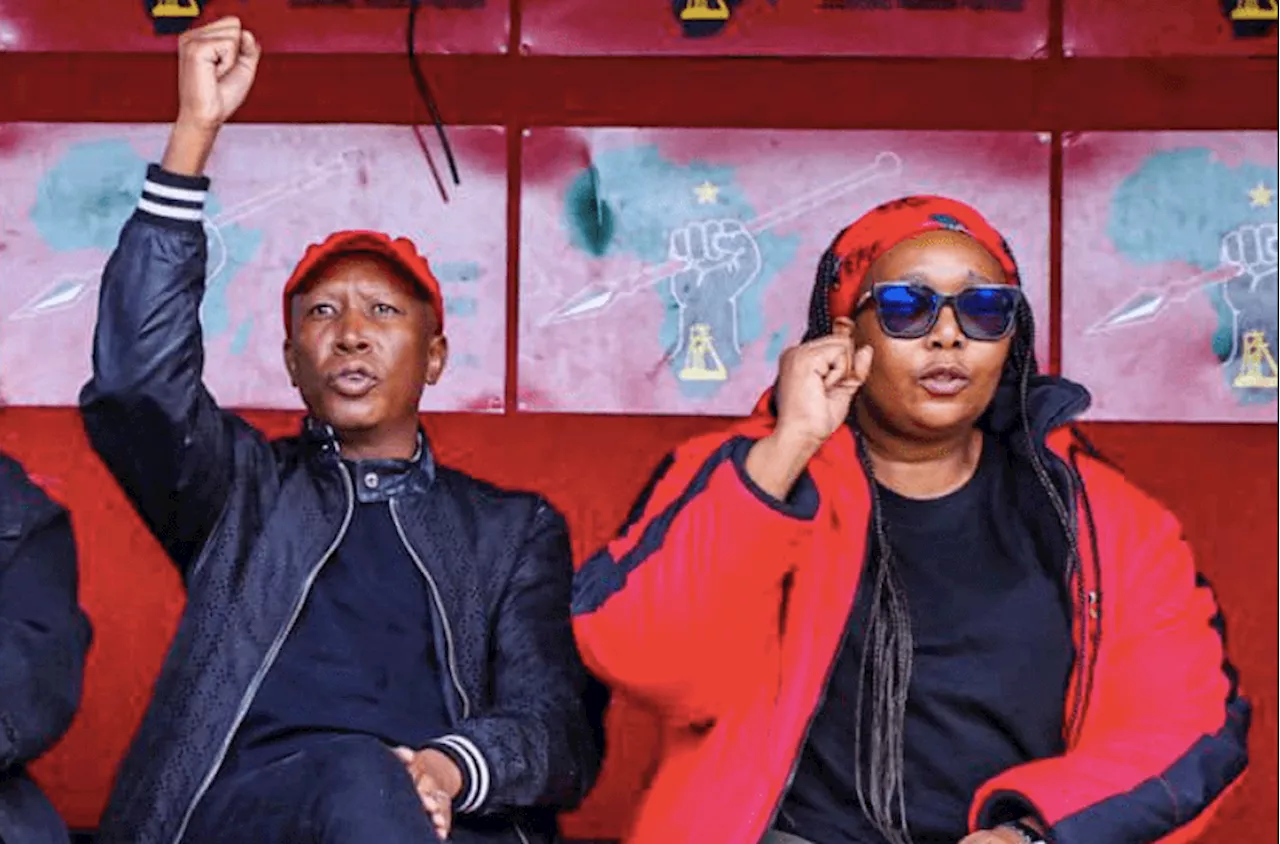 Mente answers Malema’s ‘leave now’ call: ‘My EFF membership was renewed in July’