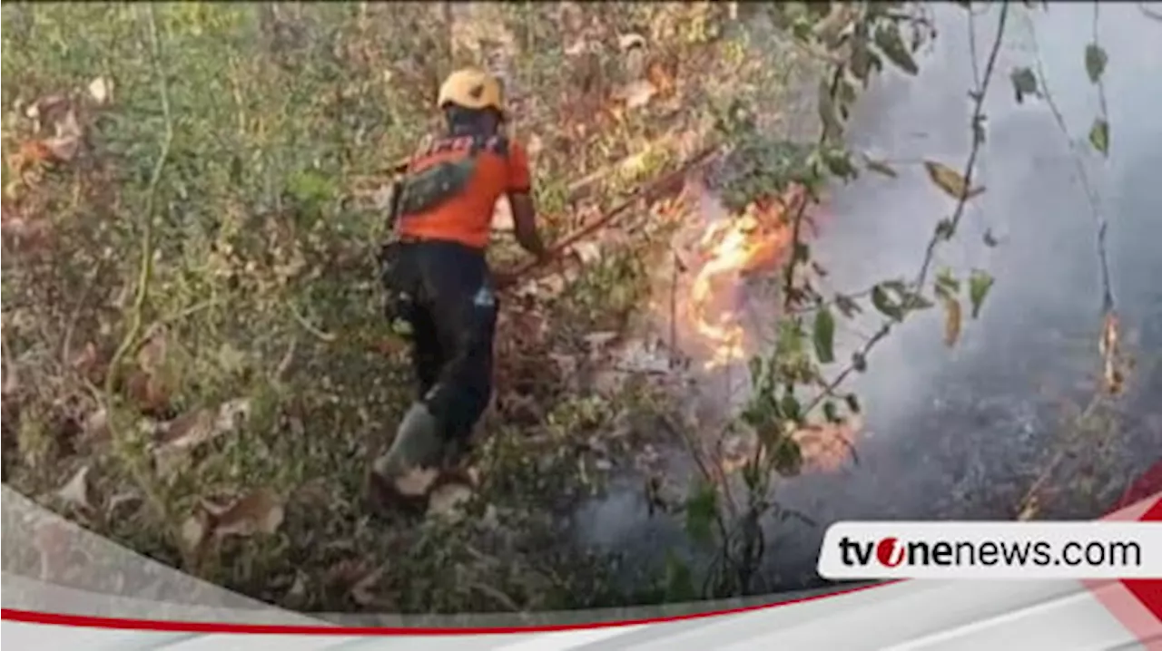 Kebakaran Hutan Rakyat di Gunung Gombak Ponorogo Kembali Terjadi, Warga Resah