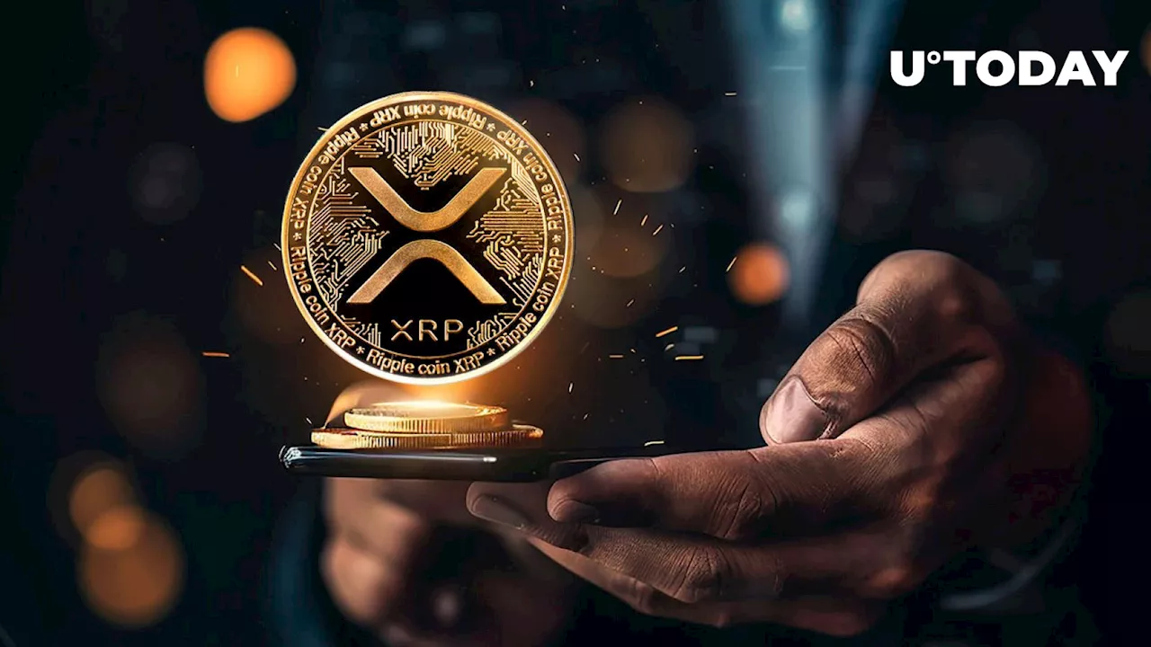 XRP to Skyrocket? Top Crypto Trader Shares His XRP Price Outlook