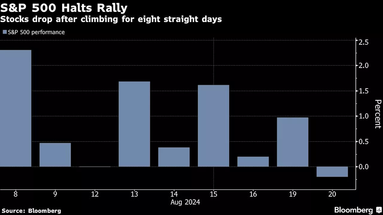 Asian Stocks to Fall as US Rally Takes a Breather: Markets Wrap