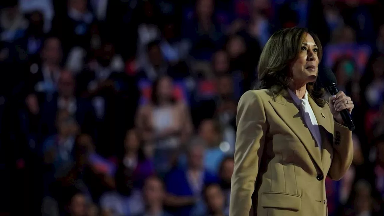 Watch: Kamala Harris Makes First Appearance on Stage at DNC