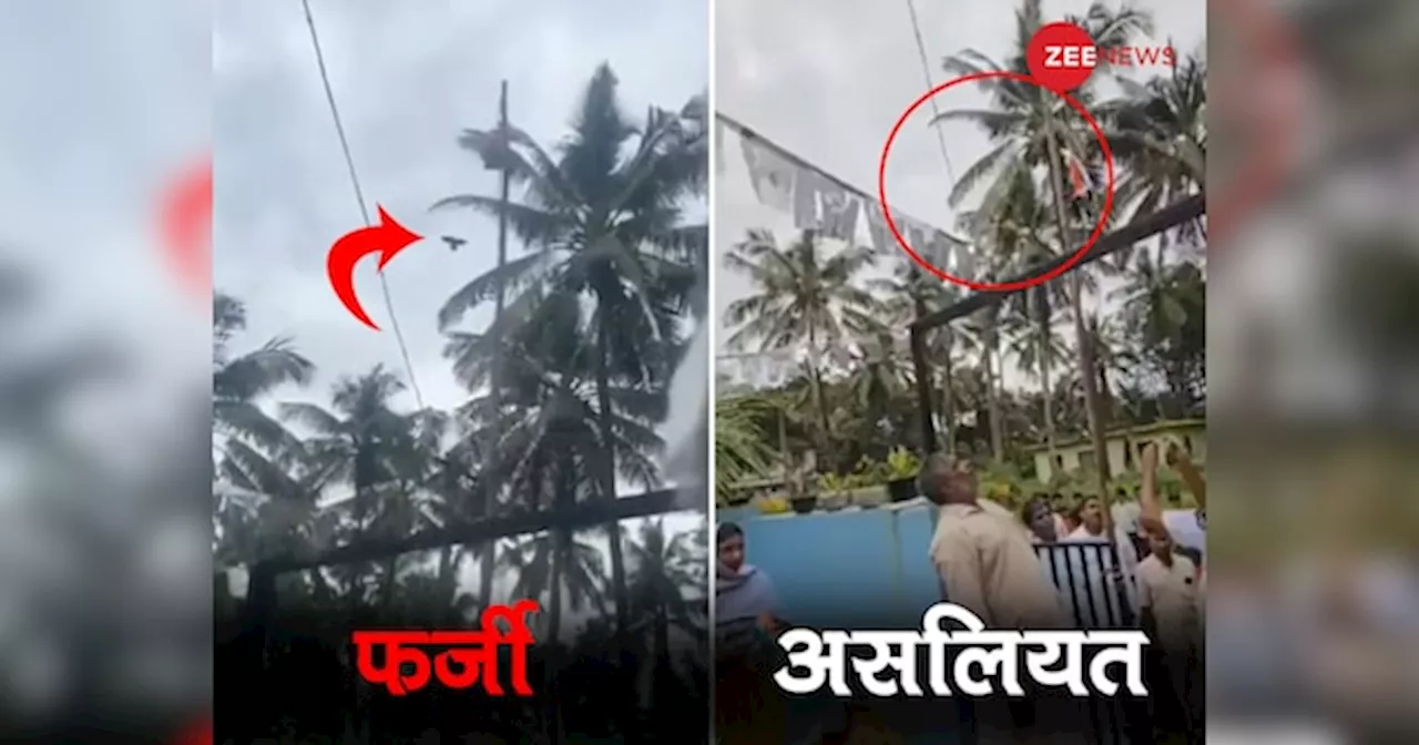 Fact Check: फर्जी निकला पक्षी का झंड़ा फहराने वाला Video, असली सच्चाई उड़ा देगी आपके होश