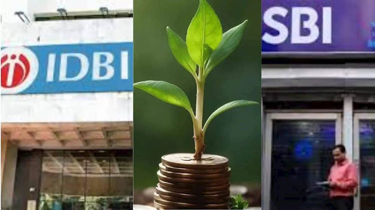 IDBI Hikes Fixed Deposit Interest Rates On THESE Tenures; Check Comparison With SBI Special FD Schemes