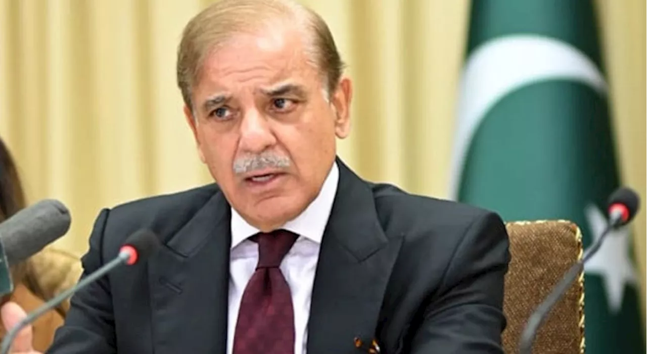 PM Shehbaz urges intensified efforts against smuggling