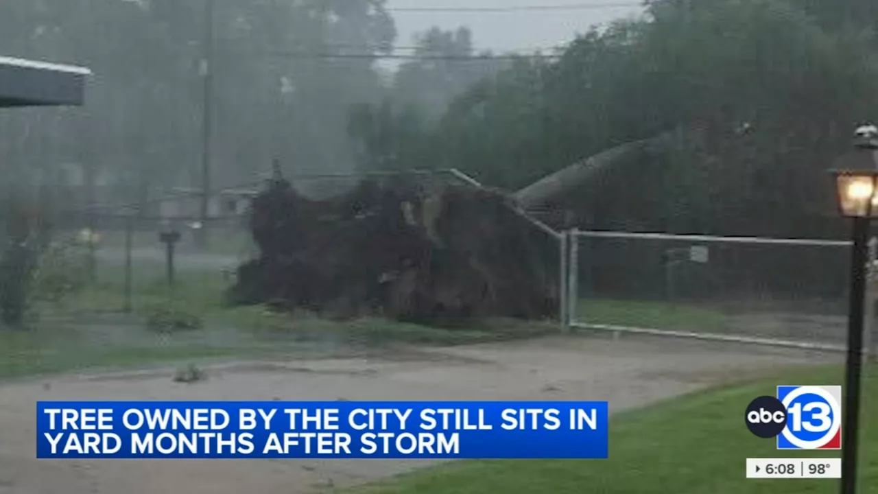 Houstonians still facing delays in storm damage cleanup: 'Nothing is done'