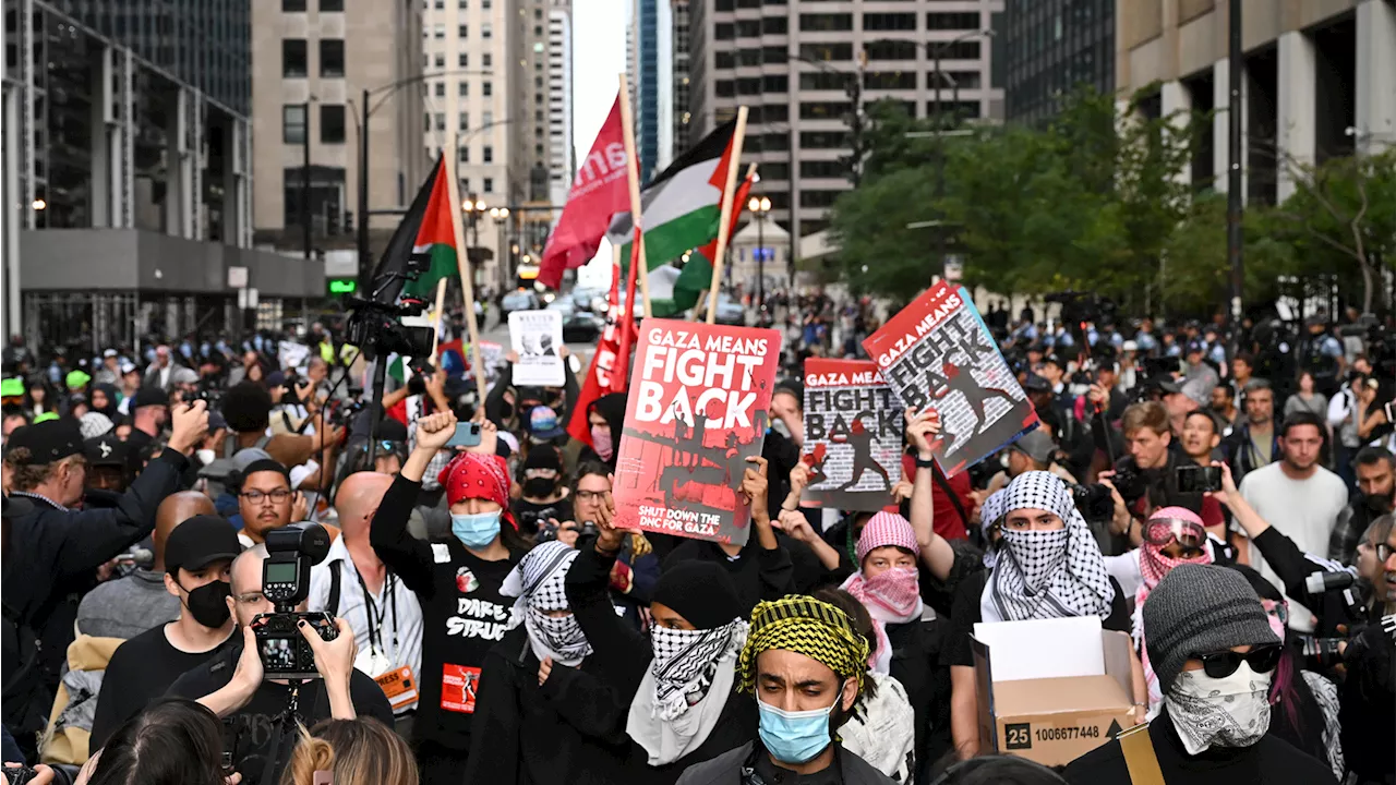 DNC protests 2024: Pro-Palestinian protesters confront Chicago police downtown