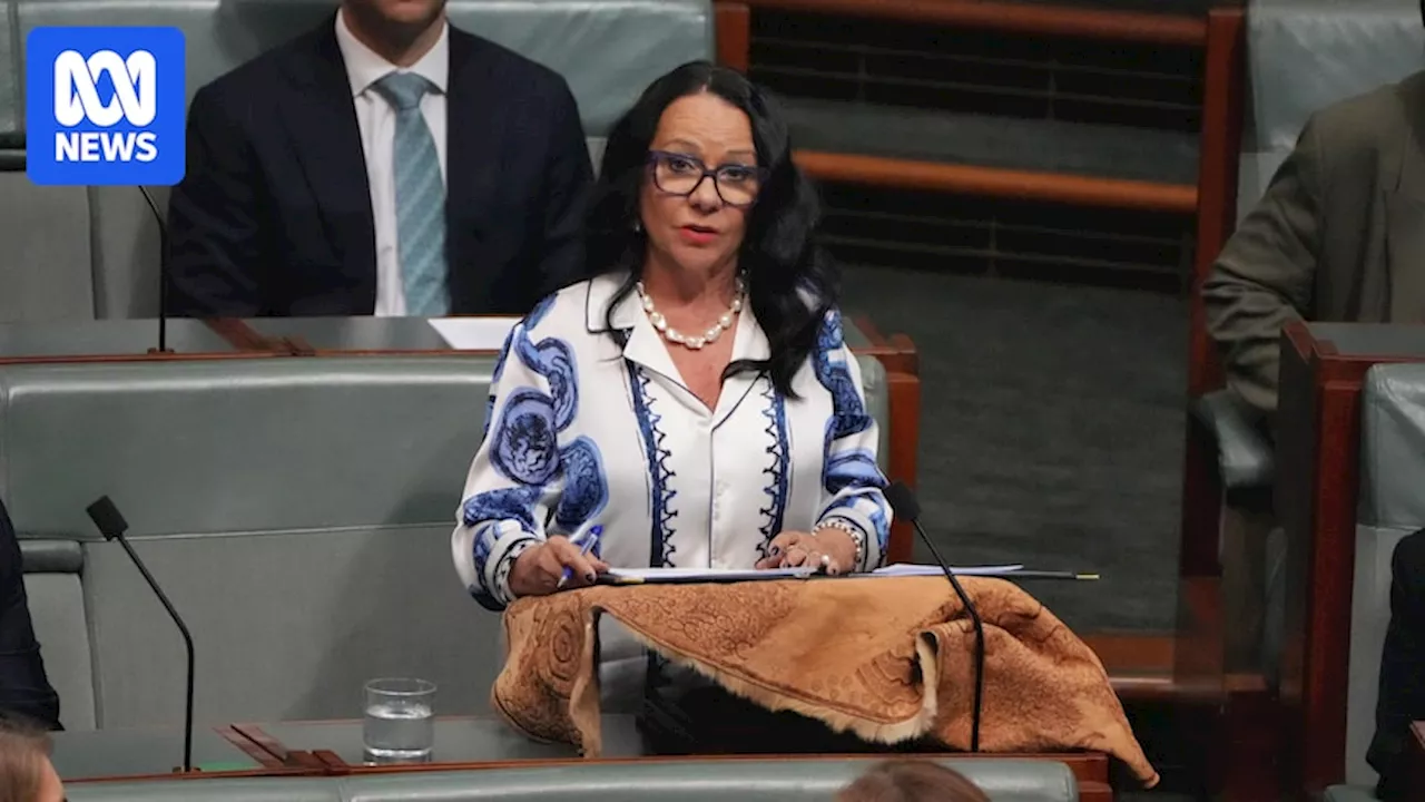 Federal politics live: Linda Burney gives farewell address to parliament after announcing retirement