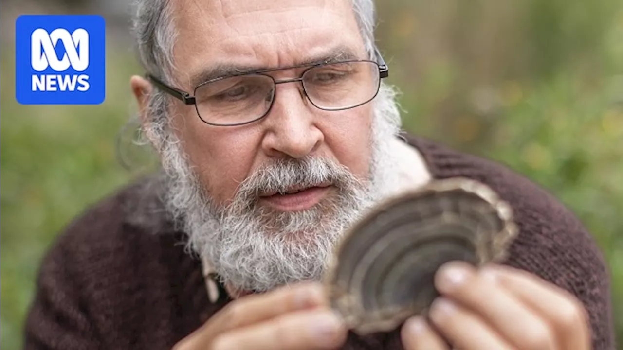 How a fungi fascination led this Royal Botanic Gardens scientist on a decades-long quest