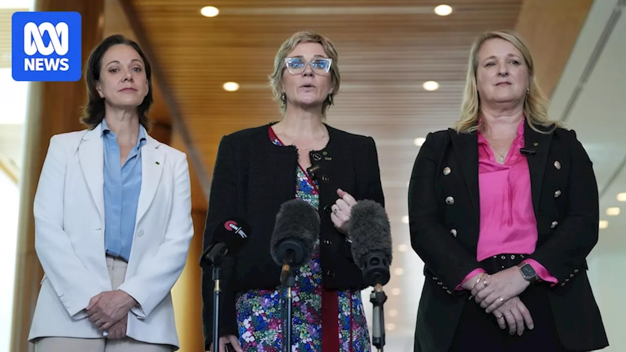 'Not addressing fundamental issues': frontline workers and crossbench MPs call out weak government DV response