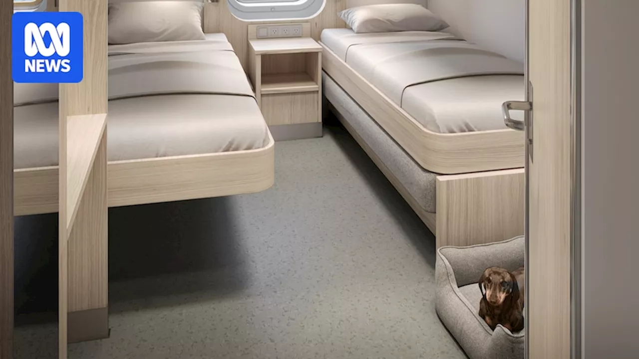 Pet-friendly cabins to be offered on new Spirit of Tasmania ferries