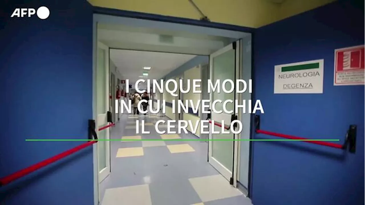 I cinque modi in cui invecchia il cervello