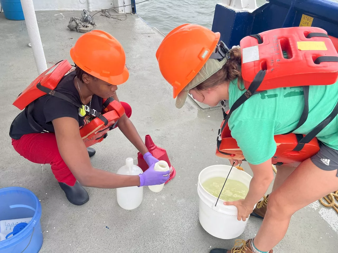 Dead zone off the Alabama coast larger than Rhode Island this year