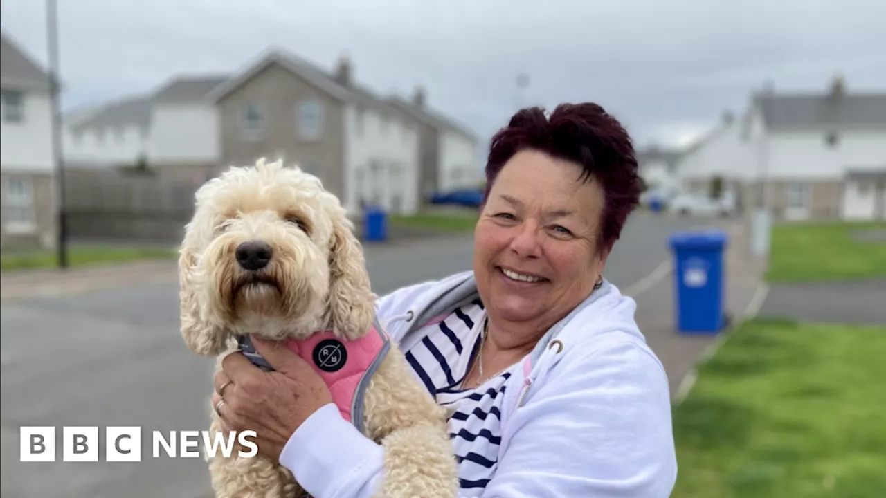 WW2 bomb explosion: Most of Ards site residents return home