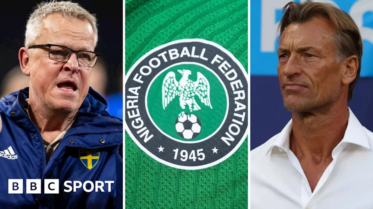 Nigeria: Janne Andersson and Herve Renard in running to be Super Eagles boss