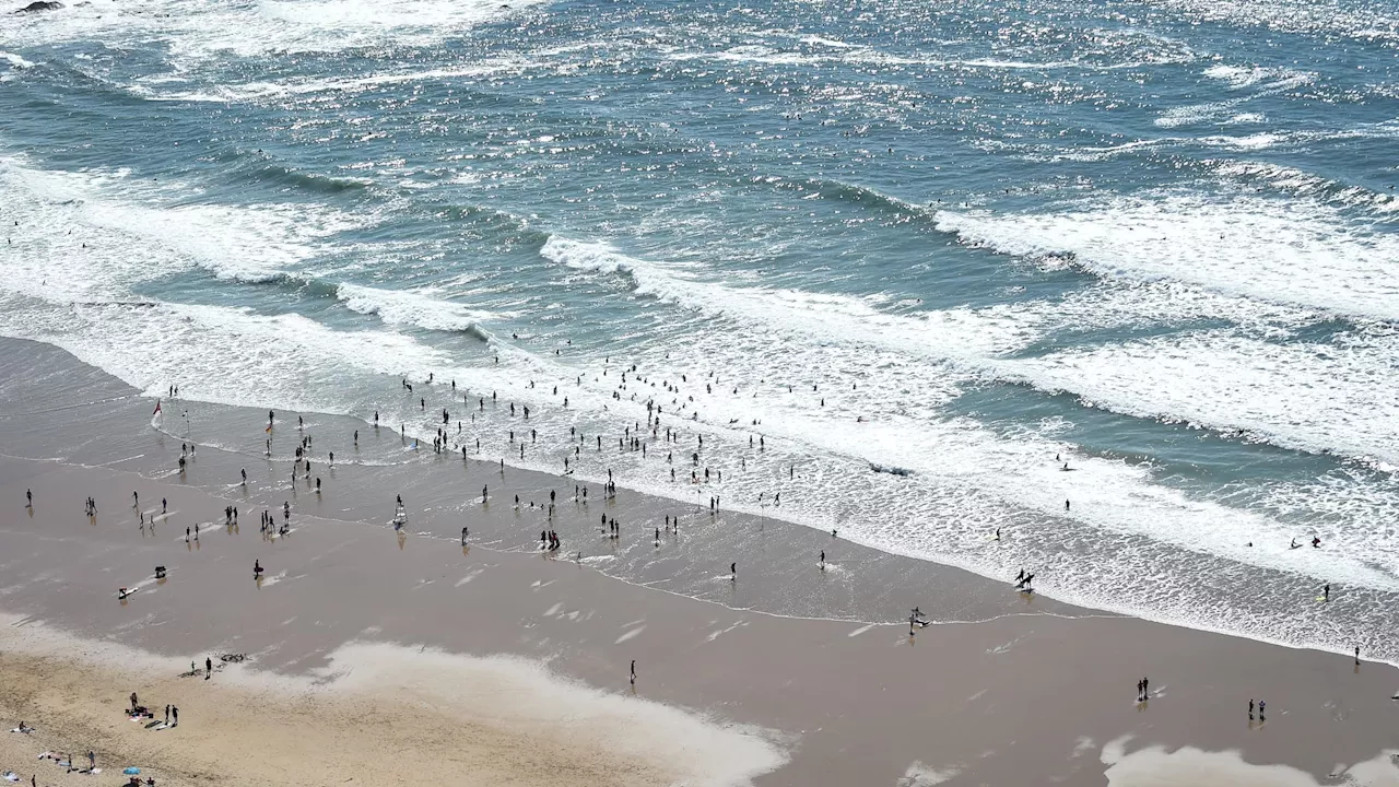 Sables-d'Olonne: face aux grandes marées, un restaurant dépense 10.000 euros pour construire une dune