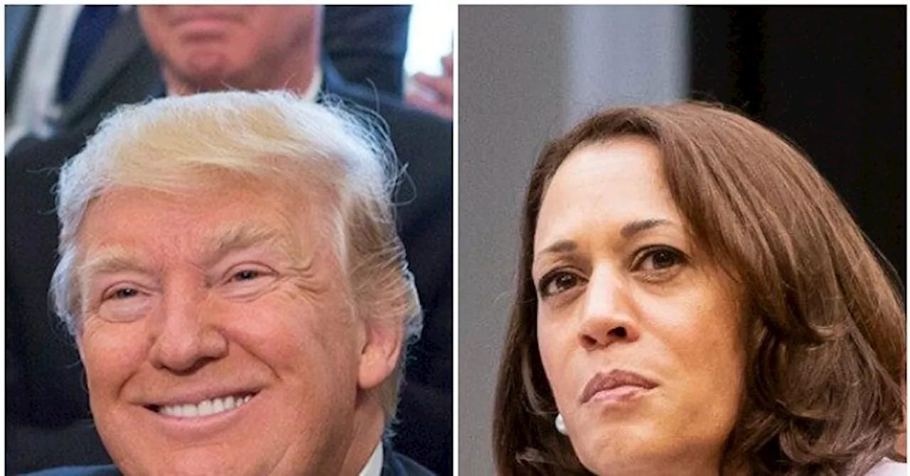 Nolte: Poll — Donald Trump Closes In on Kamala Harris in Blue Virginia