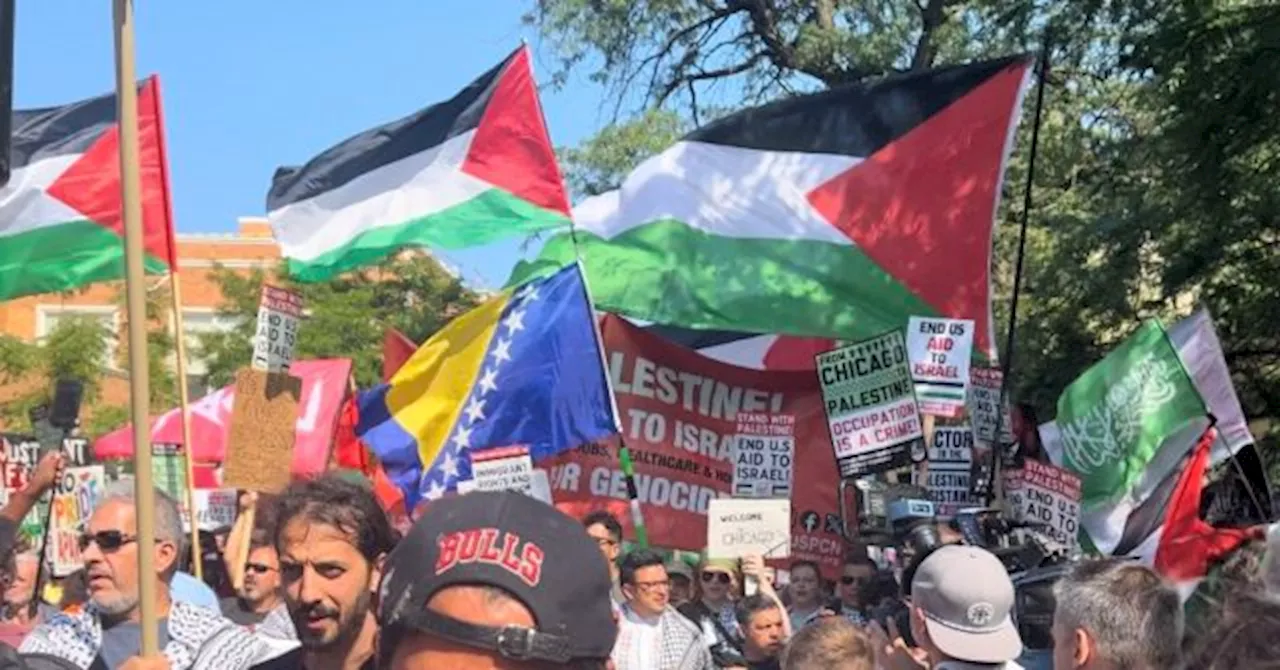 Pro-Palestinian Protesters Outside DNC Want Israel Destroyed — and Target Jews