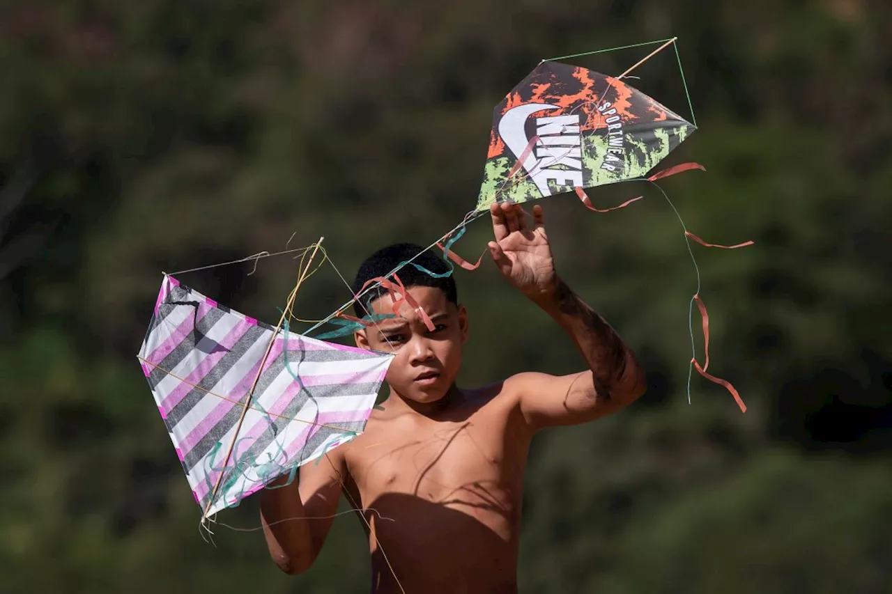 Plaything or peril? Brazilian kites endangering lives, prompting push for national ban