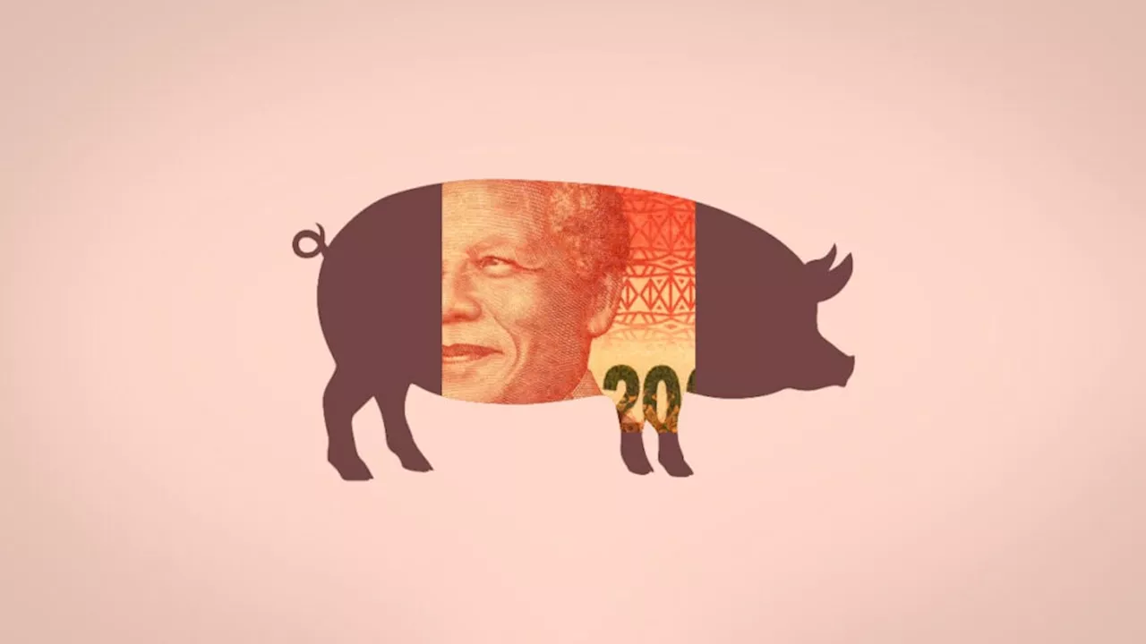 Warning over ‘pig butchering’ scam in South Africa