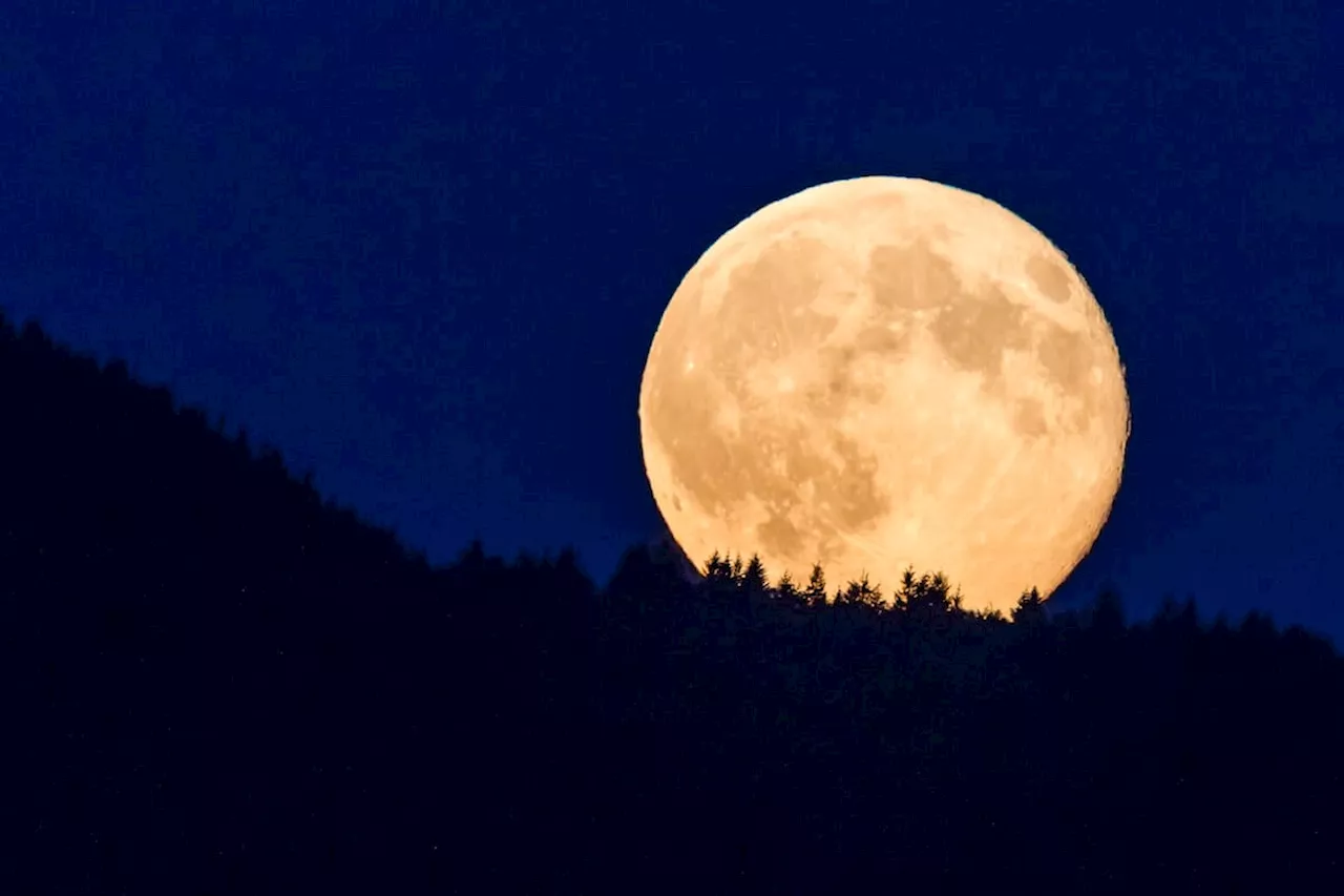 Superluna del Cazador será la más grande del año ¿Cuándo y a qué hora se verá en Colombia?