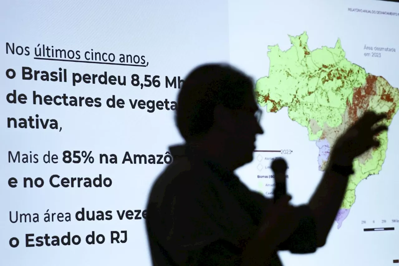 Brasil já perdeu 33% das áreas naturais de seu território