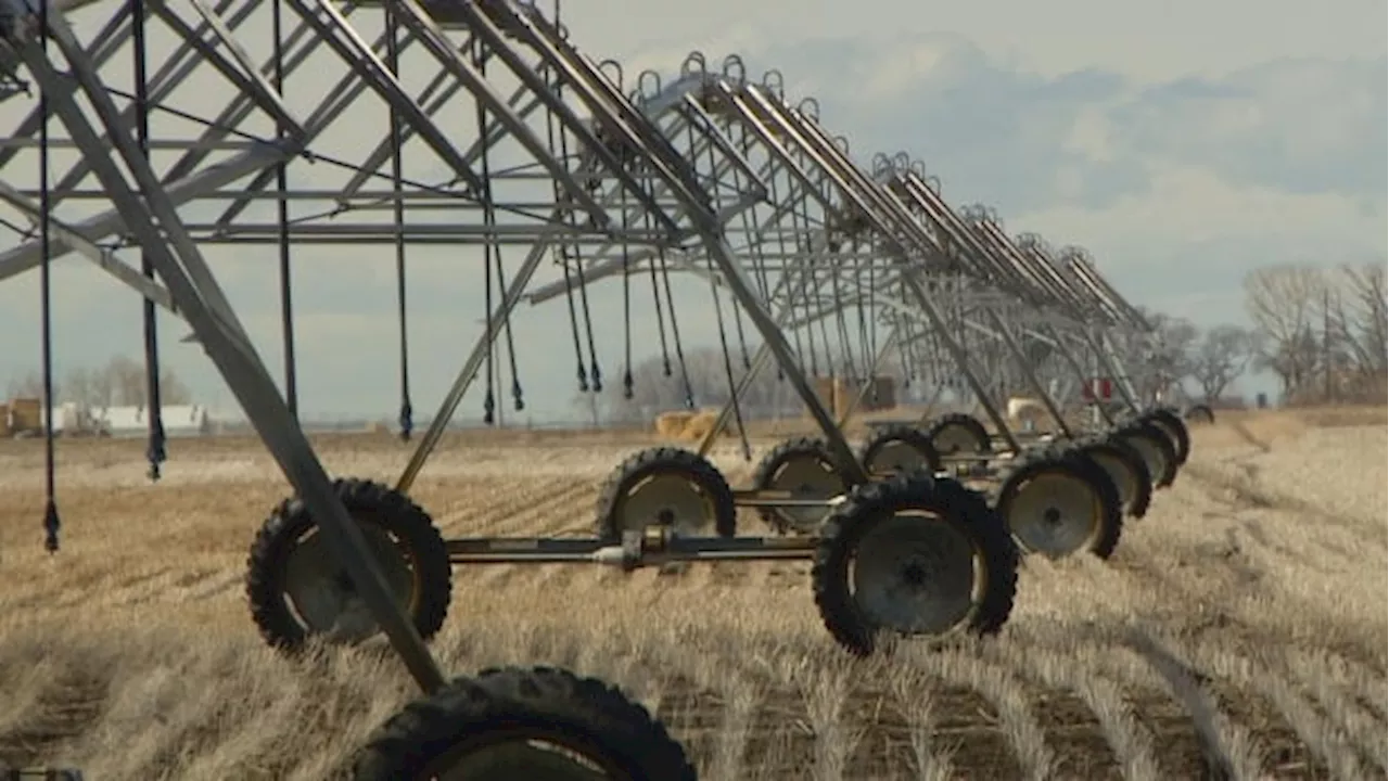 Sask. 'moving forward' with $1.15B Lake Diefenbaker Irrigation Project despite incomplete feasibility study