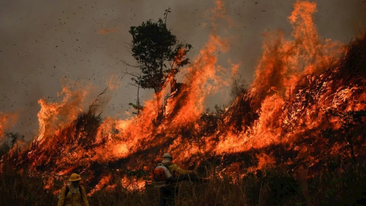 Brazilians 'struggling to breathe' as Amazon burns