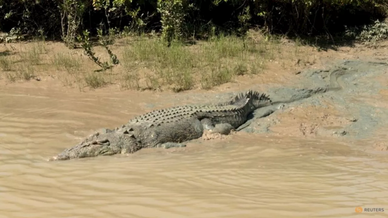 Crocodile mauls woman to death in Indonesia