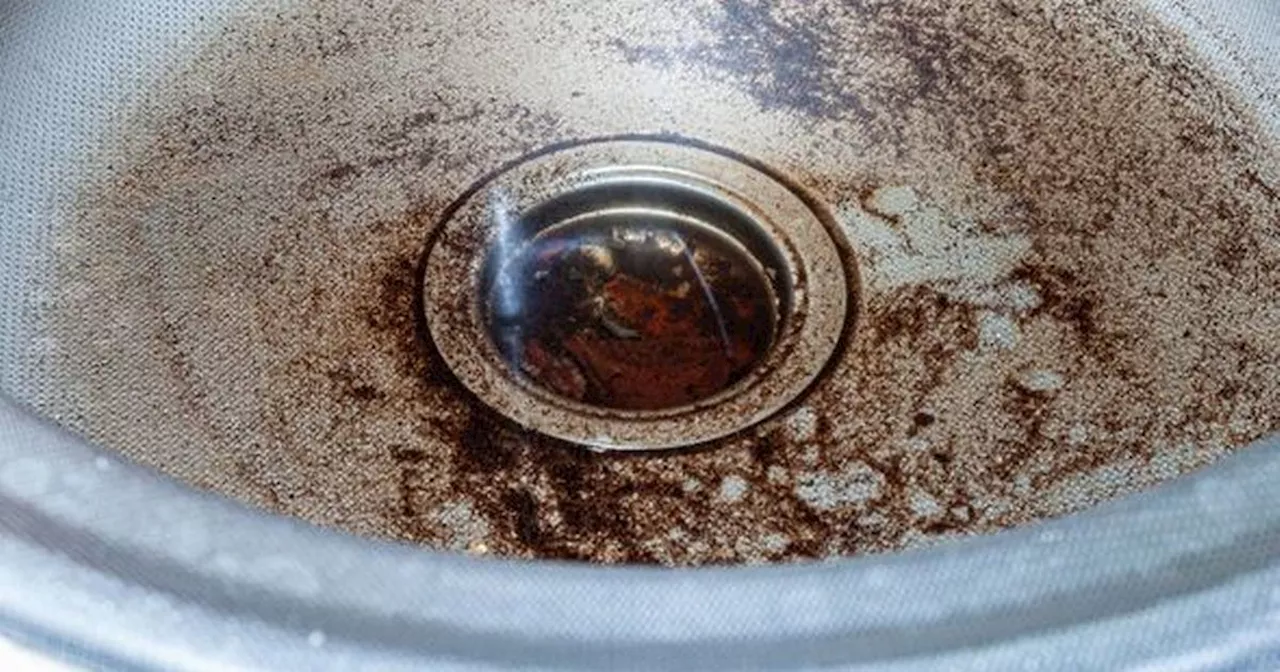 'Brilliant' drain cleaning hack uses just 1 natural item to unblock your sink