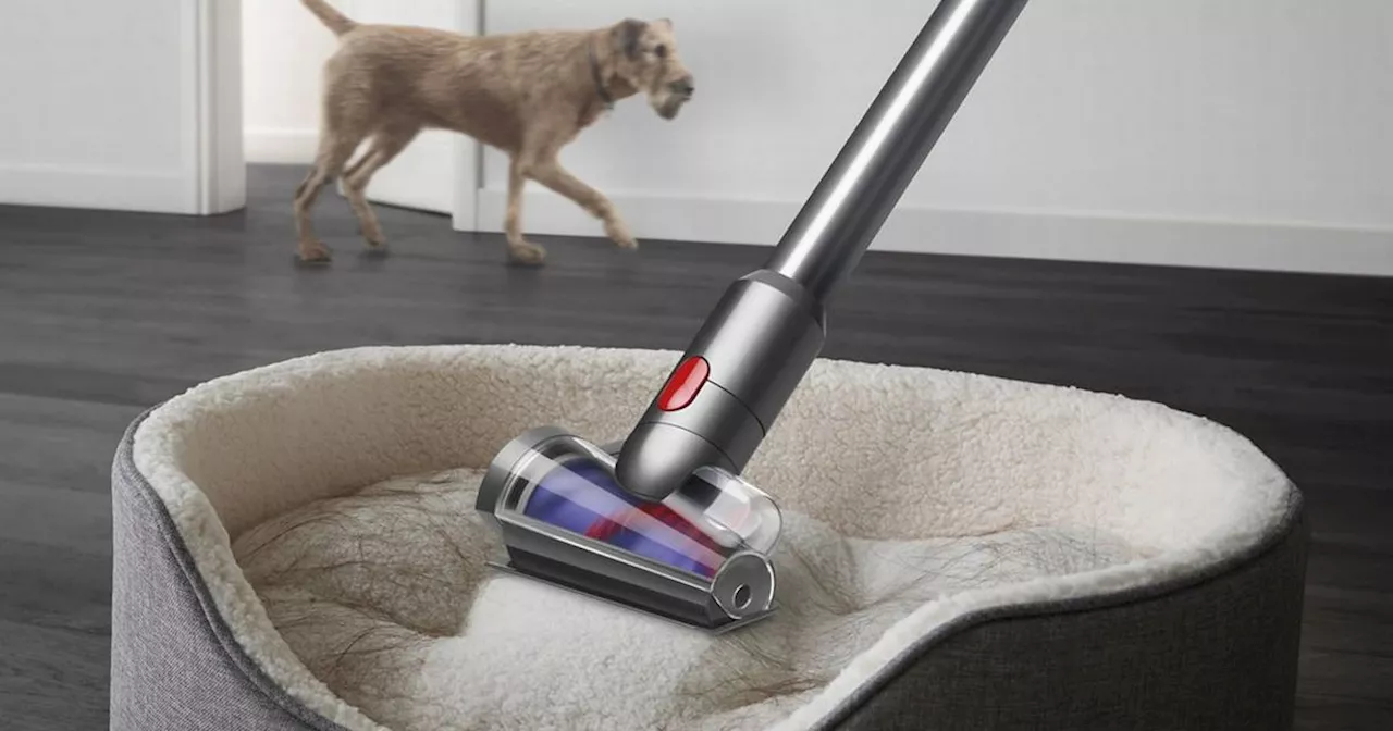 Dyson's 'lightweight' vacuum that leaves carpets 'like new' slashed by £100