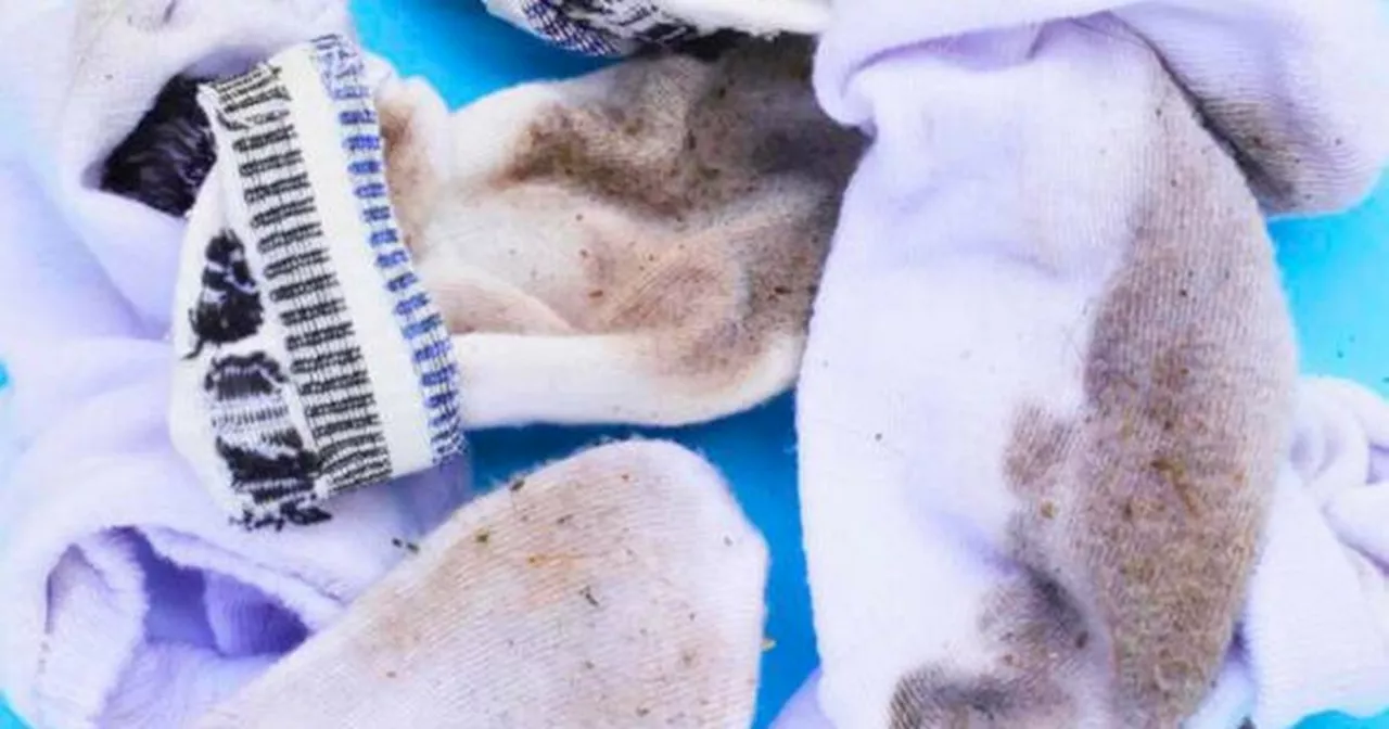 Stained socks turn white with laundry expert's 'secret weapon' kitchen staple