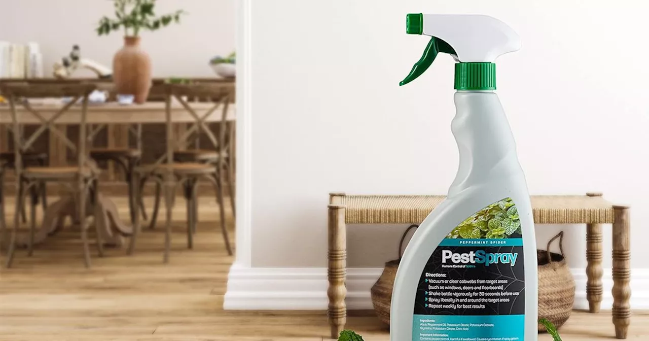 The 'brilliant' £10 Amazon spray that shoppers say keeps homes 'spider free'