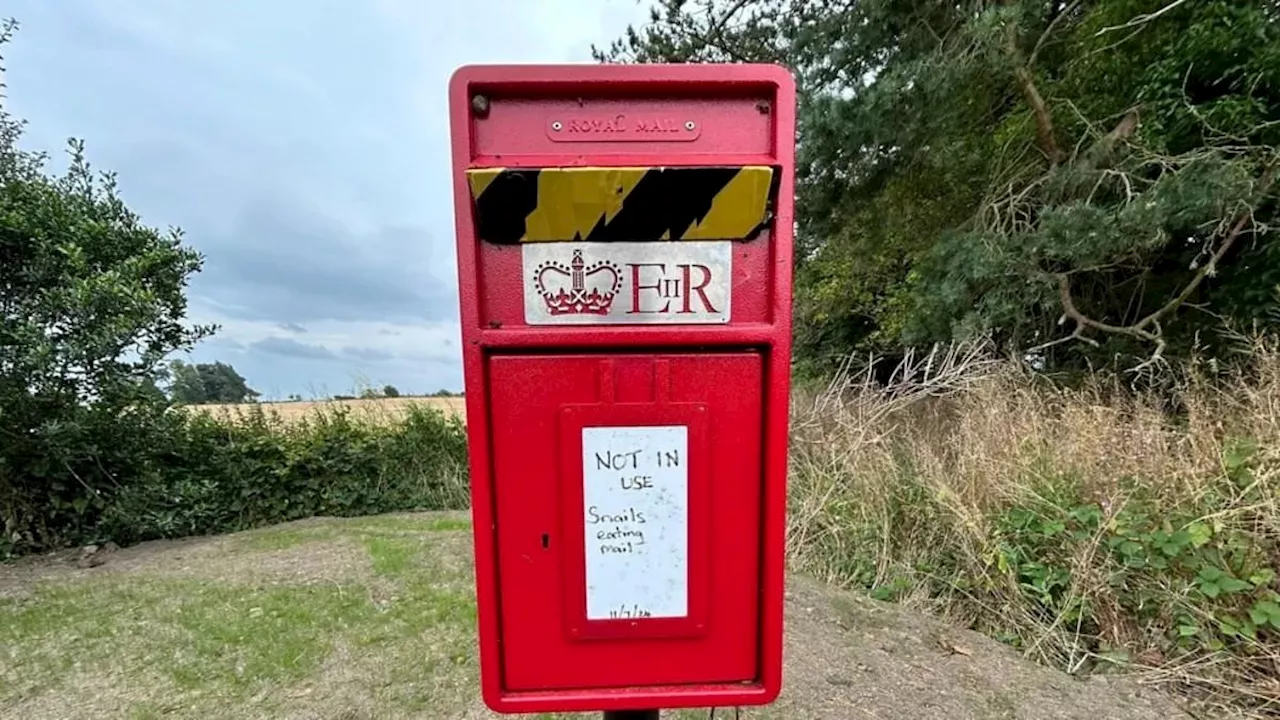 Royal Mail is forced to close postbox because snails keep EATING people's mail