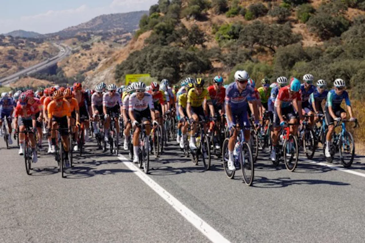 Wout van Aert opnieuw tweede, Pavel Bittner wint de Vuelta-sprint in Sevilla